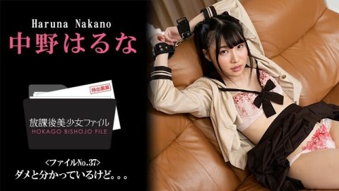 HEYZO-3044 中野春菜【中野春菜】放学后美少女档案第37号～我知道不行。 。 。 ~ – 成人影片 HEYZO