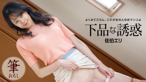 PONDO-121522_001 低俗的诱惑 – 佐伯えり